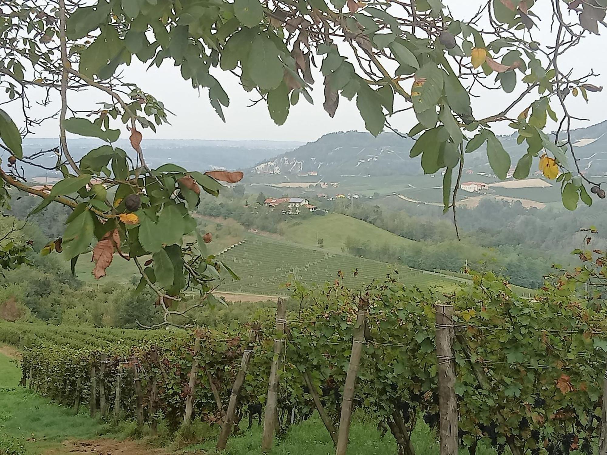 Agriturismo Bric Di Gai Monforte dʼAlba Esterno foto