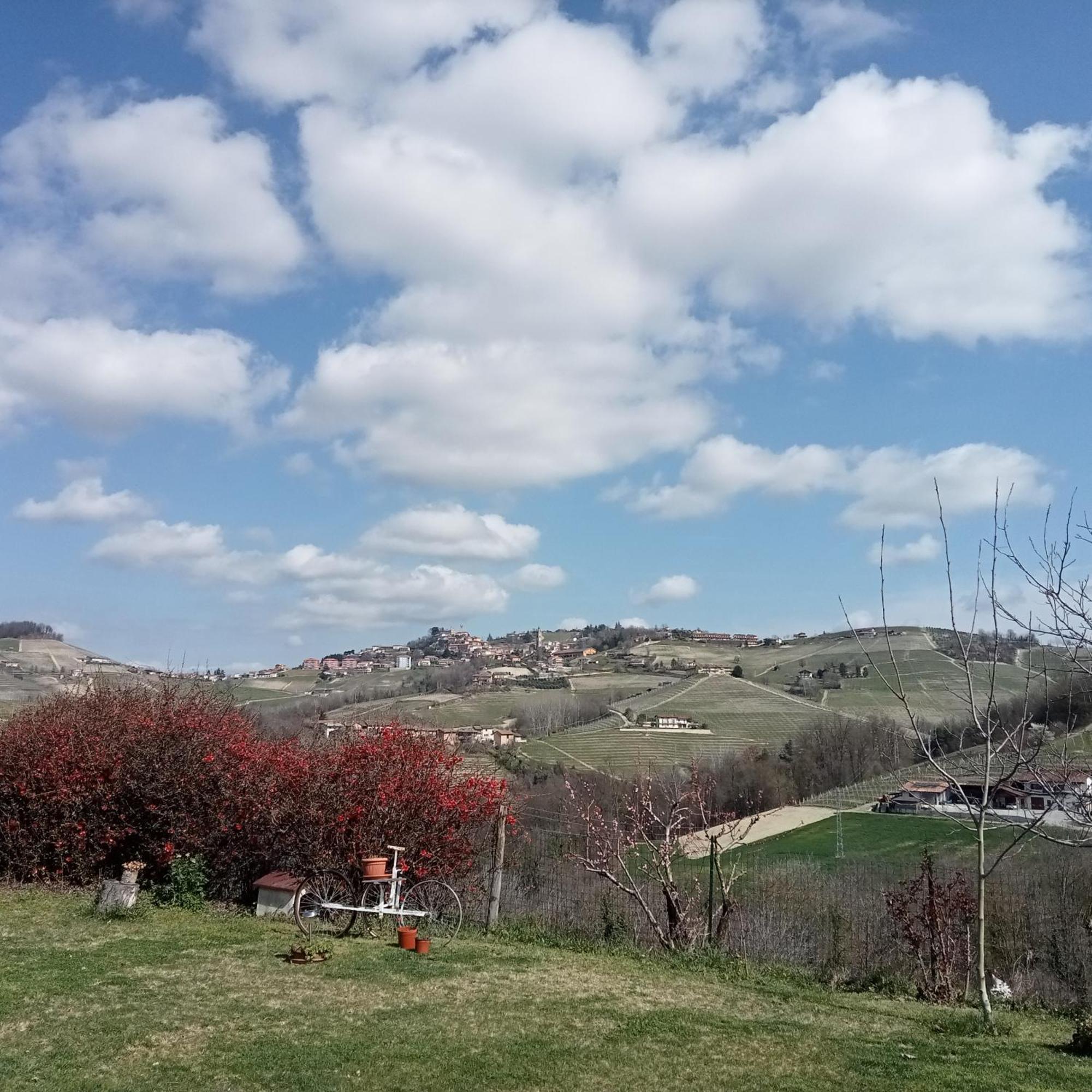 Agriturismo Bric Di Gai Monforte dʼAlba Camera foto