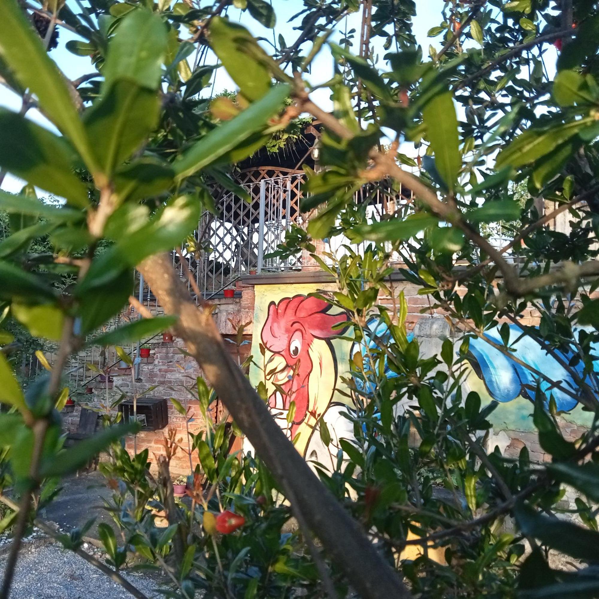 Agriturismo Bric Di Gai Monforte dʼAlba Esterno foto