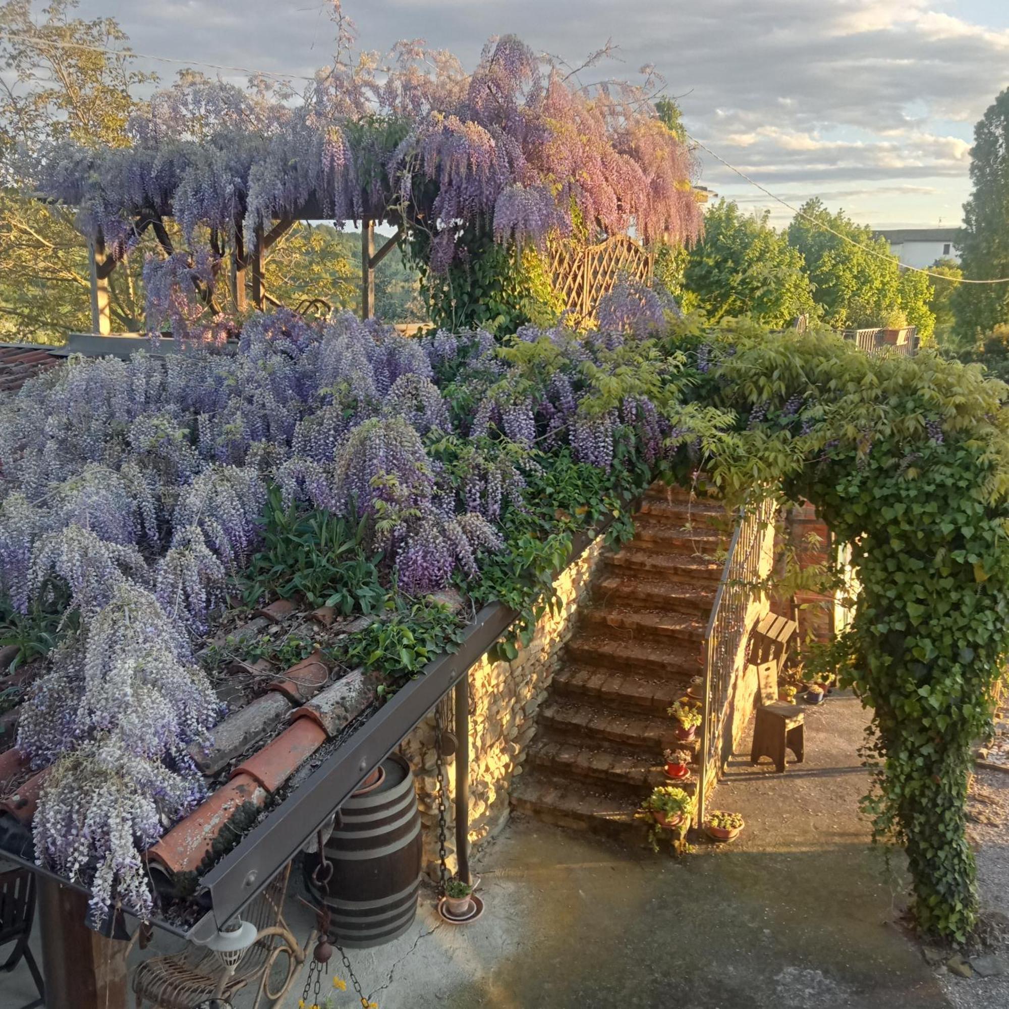 Agriturismo Bric Di Gai Monforte dʼAlba Esterno foto